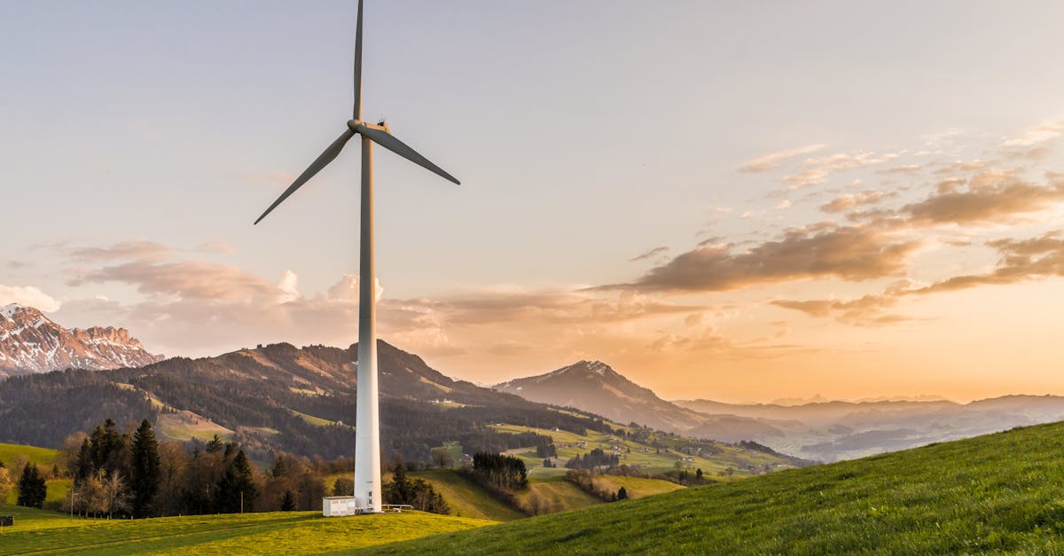 découvrez notre guide complet sur la durabilité, qui explore des pratiques écoresponsables et des solutions innovantes pour un avenir plus vert. apprenez à réduire votre empreinte carbone et à soutenir un mode de vie durable au quotidien.