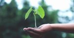 découvrez notre guide sur le développement durable, où nous explorons des pratiques écologiques, des innovations vertes et des solutions durables pour un avenir meilleur. rejoignez le mouvement vers un mode de vie plus respectueux de l'environnement.