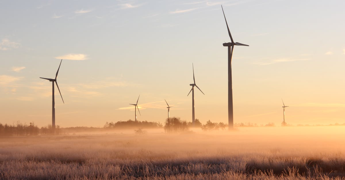 découvrez des pratiques durables et des solutions éco-responsables pour un avenir meilleur. apprenez comment réduire votre empreinte carbone et adopter un mode de vie respectueux de l'environnement.