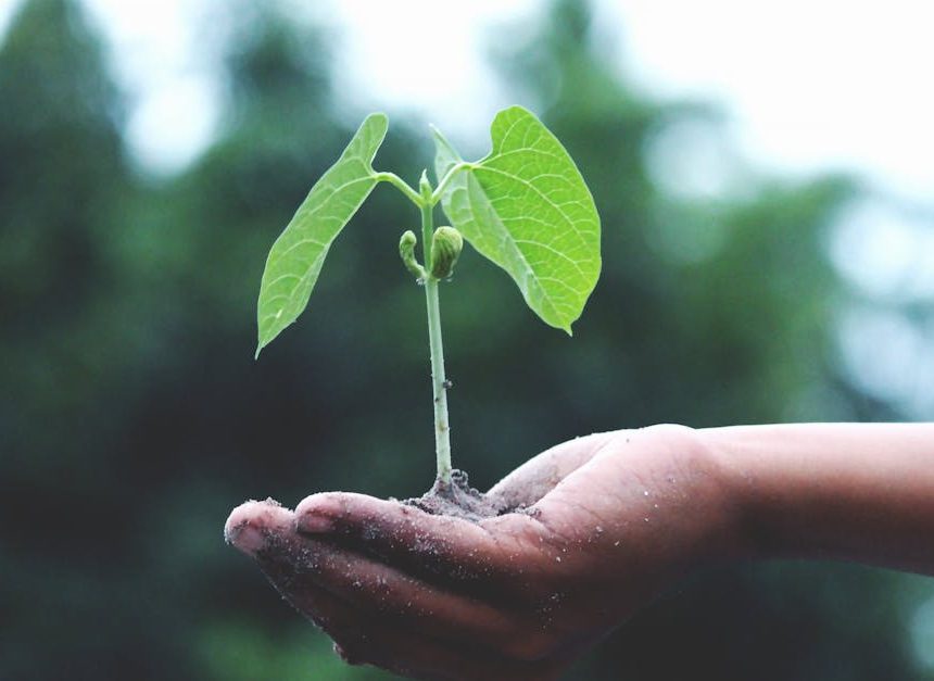 Habitat local : les avantages d’une approche durable pour votre communauté