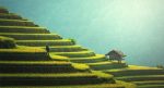 découvrez le tourisme durable, une pratique qui préserve l'environnement et respecte les cultures locales tout en offrant des expériences enrichissantes et responsables pour les voyageurs. engagez-vous pour un avenir touristique plus vert.