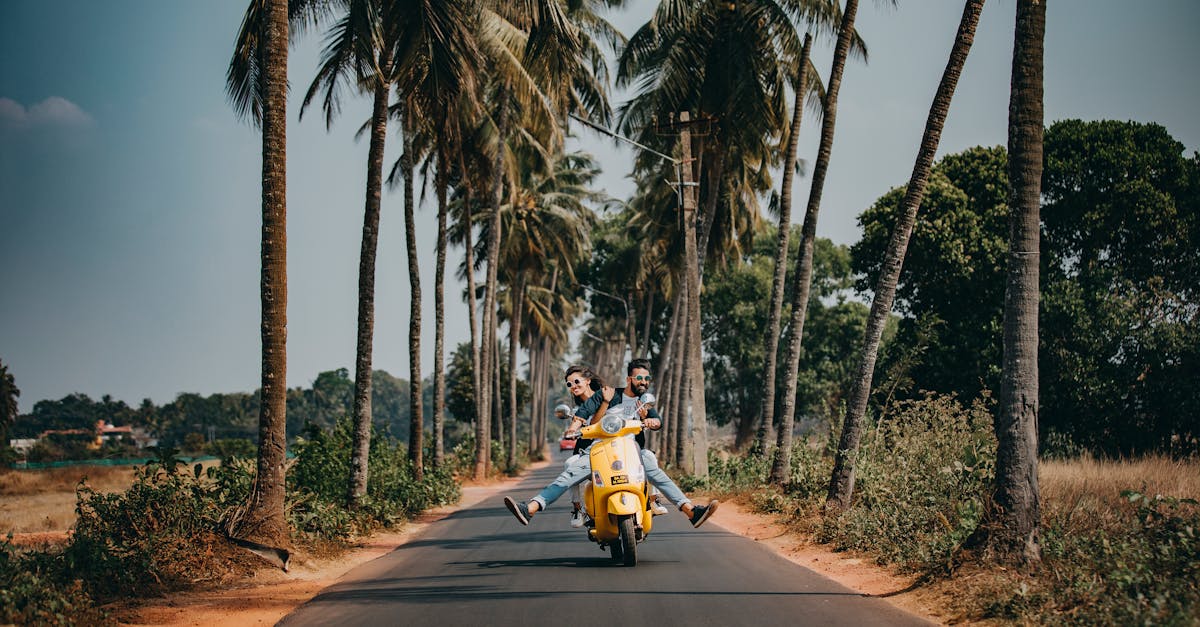 découvrez les meilleures destinations de voyage, des conseils pratiques et des astuces incontournables pour profiter pleinement de vos aventures à travers le monde. explorez des cultures diverses et vivez des expériences inoubliables grâce à nos guides de voyage.