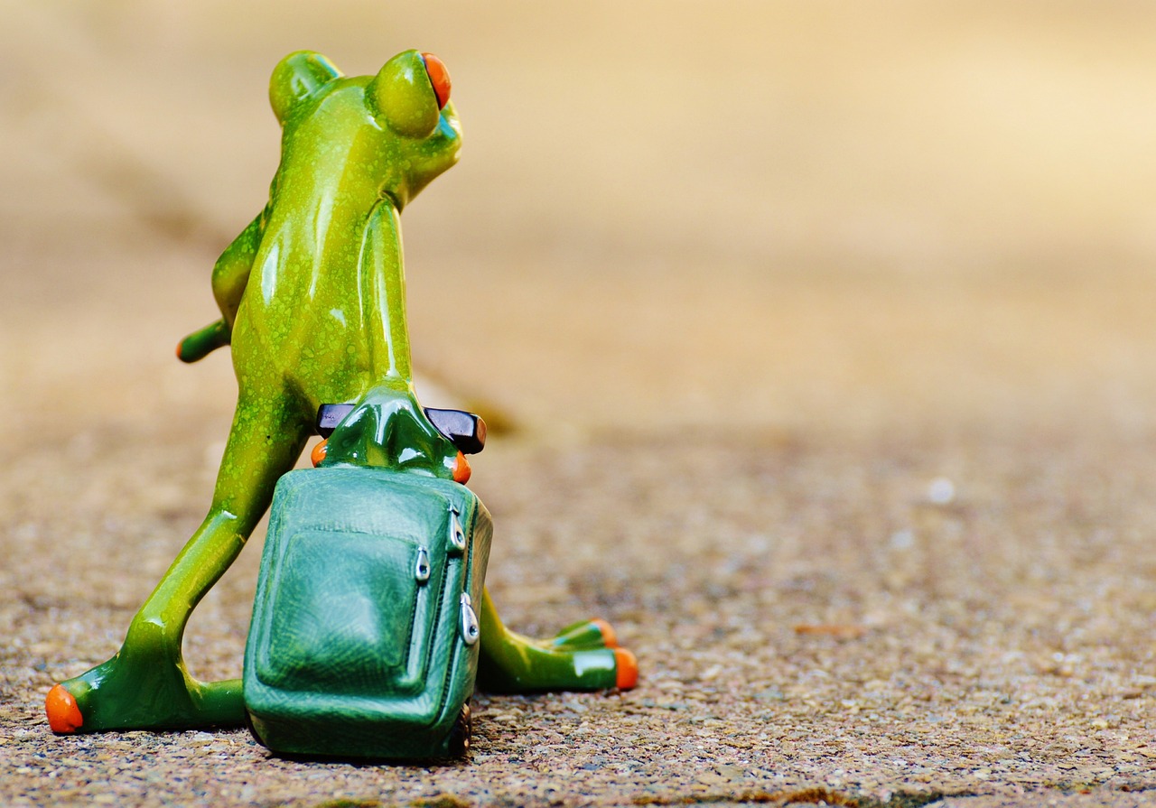 découvrez le monde à travers des voyages inoubliables ! explorez des destinations fascinantes, vivez des aventures uniques et créez des souvenirs mémorables. embarquez pour une expérience enrichissante et laissez-vous inspirer par la beauté de notre planète.