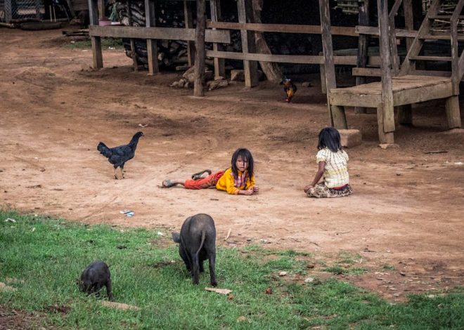 Village typique : découvrez les caractéristiques qui en font un lieu unique