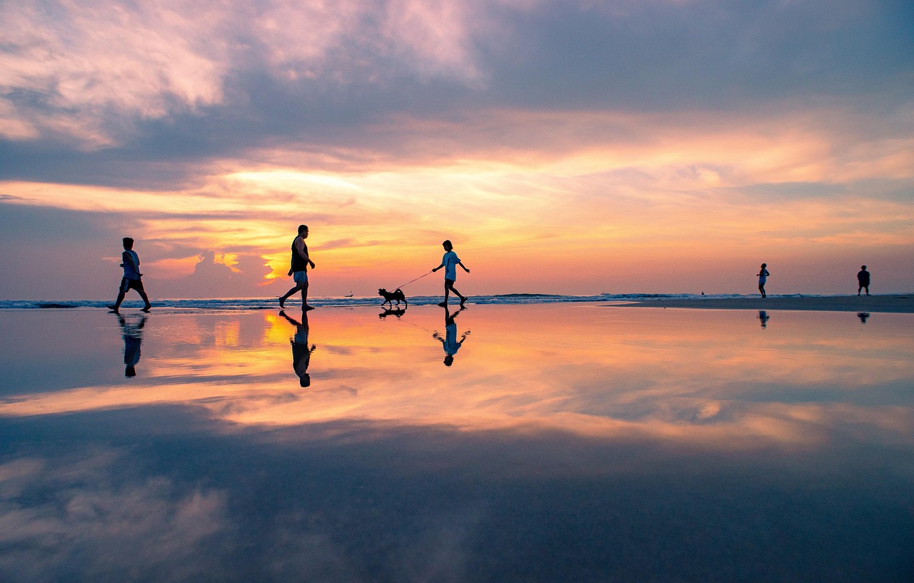 découvrez le vietnam, un pays fascinant d'asie du sud-est, célèbre pour sa richesse culturelle, ses paysages époustouflants et sa délicieuse cuisine. explorez des villes vibrantes comme hanoi et ho chi minh-ville, admirez les rizières en terrasses de sapa et délectez-vous des saveurs uniques de la gastronomie vietnamienne.
