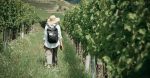 découvrez les plus belles routes des vins en france, où paysages pittoresques et dégustations d'exception vous attendent. partez à l'aventure à travers les vignobles, explorez des villages charmants et savourez les saveurs authentiques de notre patrimoine viticole.