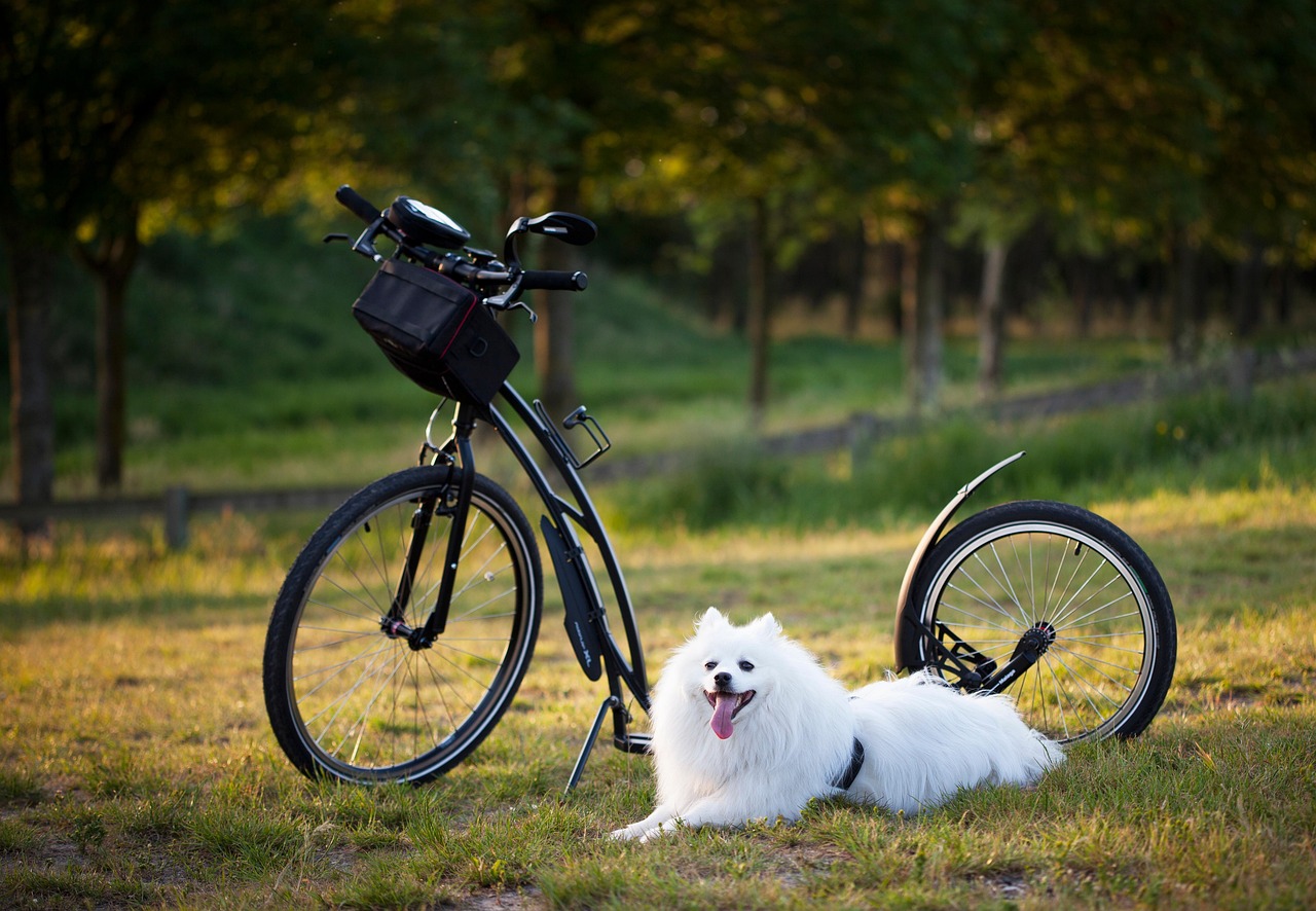 Conseils pratiques pour rester actif pendant les vacances, par un coach sportif