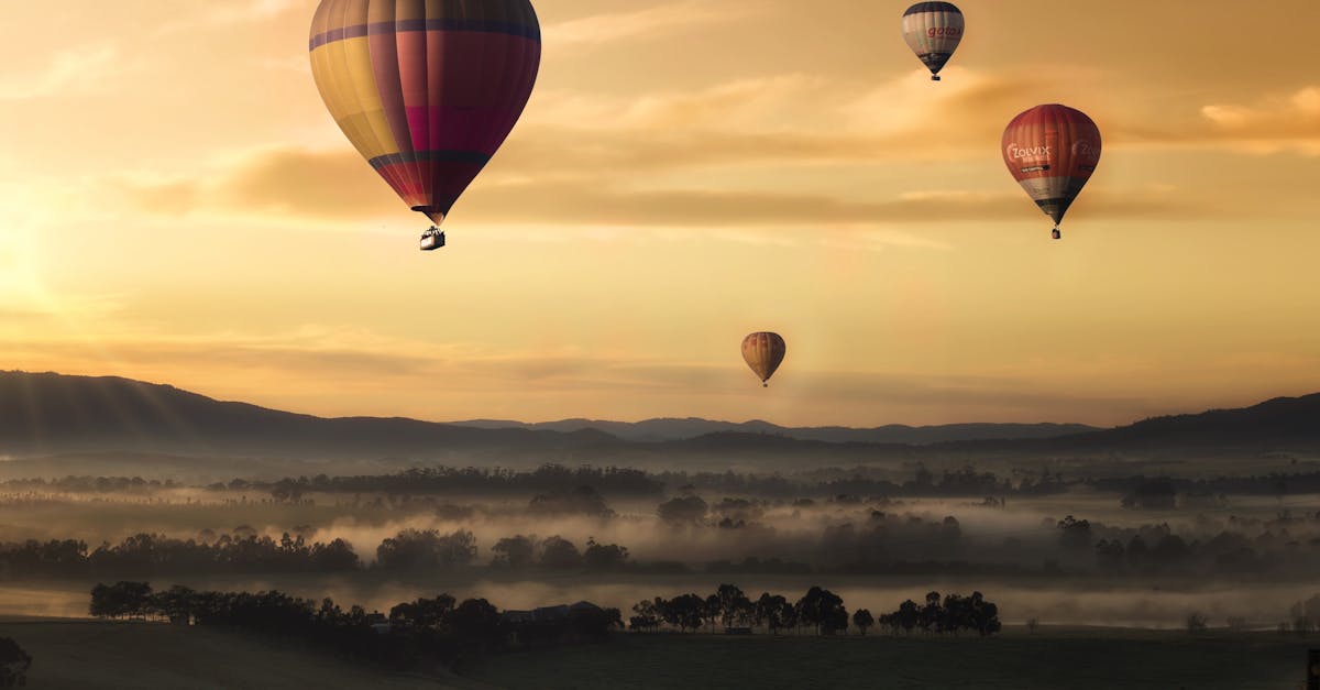découvrez un univers palpitant rempli d’aventure, d’exploration et de sensations fortes. plongez dans des récits captivants pour vivre l’évasion et l’action à chaque instant.