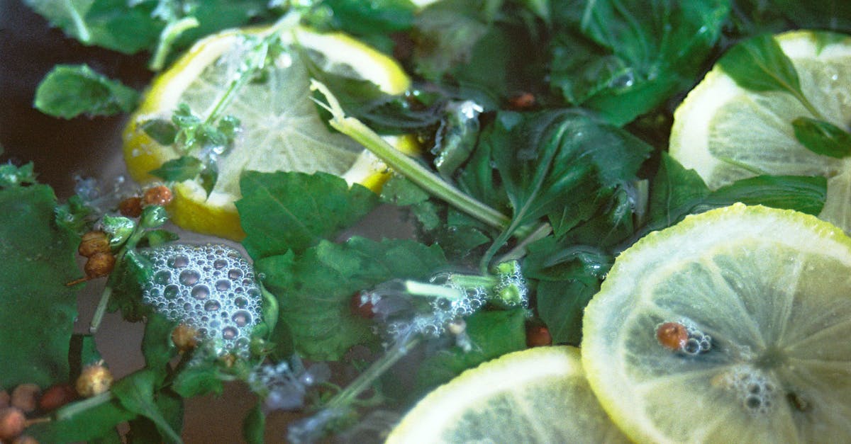 découvrez l'univers culinaire : astuces, recettes, tendances et conseils pour sublimer votre cuisine au quotidien. explorez saveurs et créativité gastronomique !