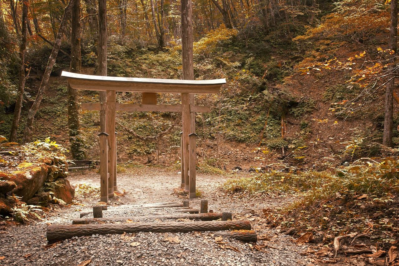 découvrez la richesse et la diversité de la culture à travers ses traditions, ses arts, ses croyances et ses valeurs. apprenez comment la culture influence notre quotidien et nos échanges dans le monde.