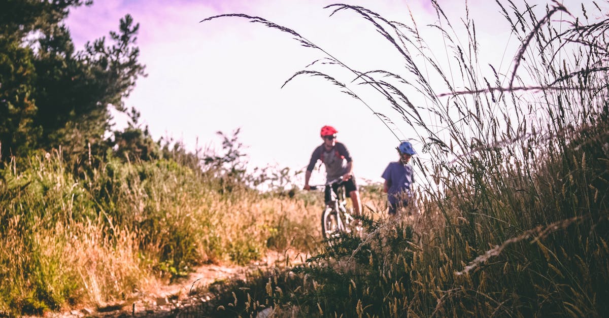 découvrez l'univers passionnant du cyclisme : des conseils pour débutants, des itinéraires à explorer, des équipements essentiels, et des astuces pour améliorer vos performances. rejoignez une communauté de passionnés et pédalez vers de nouvelles aventures!