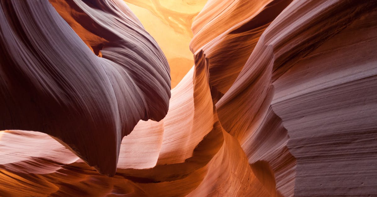 découvrez tout sur les déserts : leurs paysages fascinants, la faune et la flore adaptées à l’aridité, et les secrets de ces étendues mystérieuses à travers le monde.