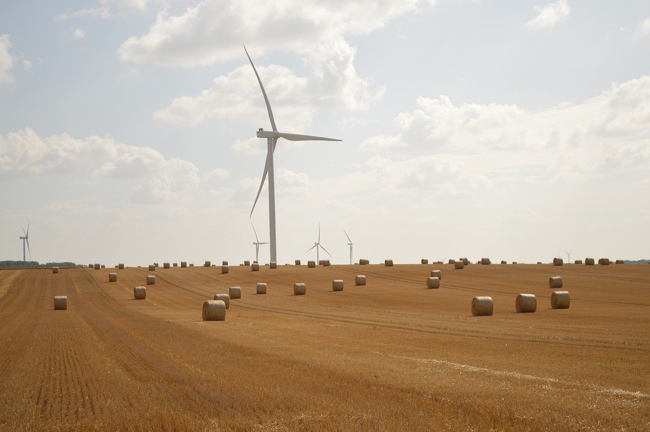 découvrez les eco-expériences : des activités durables et responsables pour voyager autrement, préserver l’environnement et vivre des moments uniques en harmonie avec la nature.