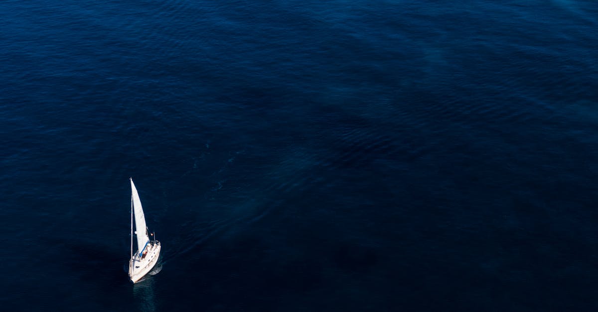 découvrez l'écologie marine : étude des écosystèmes océaniques, interaction des organismes marins et importance de la préservation de la biodiversité sous-marine.