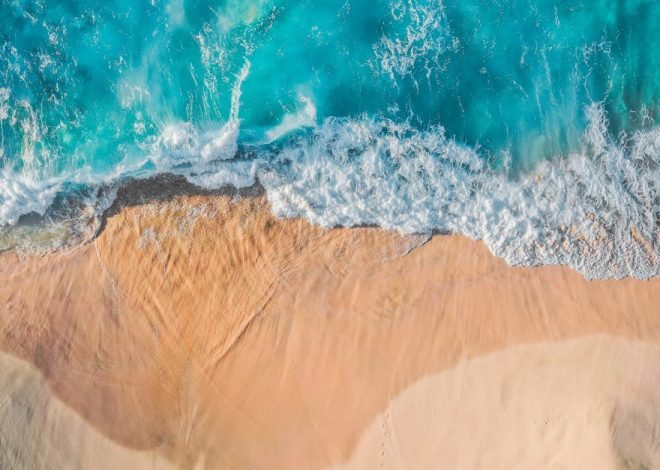 Écotourisme marin : découvrir les merveilles des océans tout en préservant l’environnement