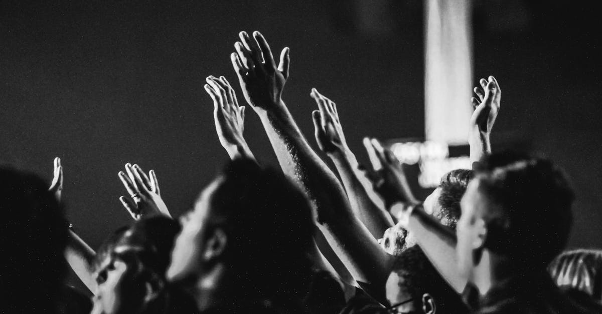 découvrez les meilleurs festivals de musique en france et dans le monde : programme, artistes, dates et conseils pour vivre une expérience inoubliable !