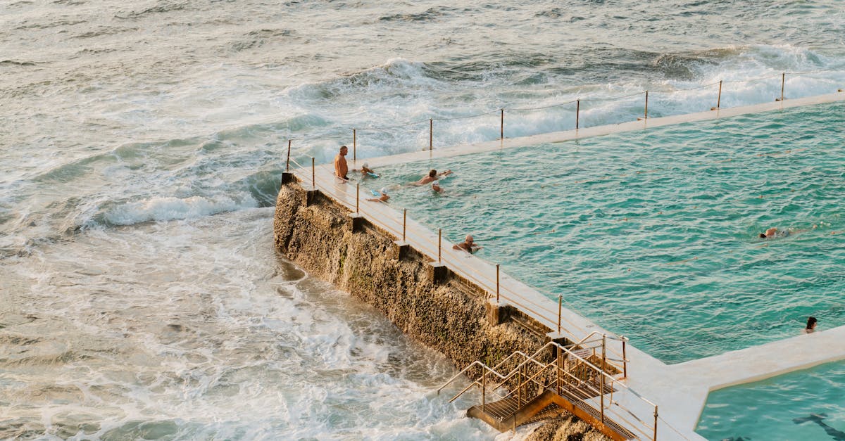 découvrez tout ce qu’il faut savoir sur les piscines naturelles : une alternative écologique et esthétique aux piscines traditionnelles, respectueuse de l’environnement et idéale pour profiter d’une baignade saine sans produits chimiques.