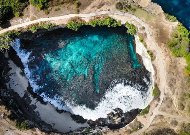 Piscine naturelle : les avantages d’une baignade éco-responsable