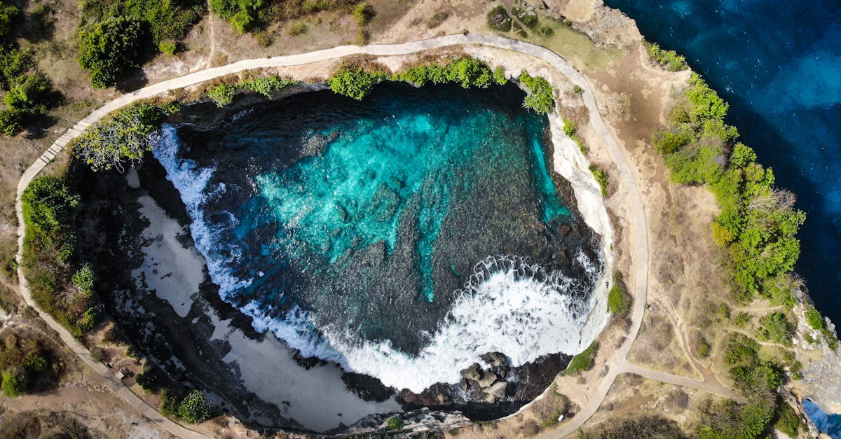 Piscine naturelle : les avantages d’une baignade éco-responsable