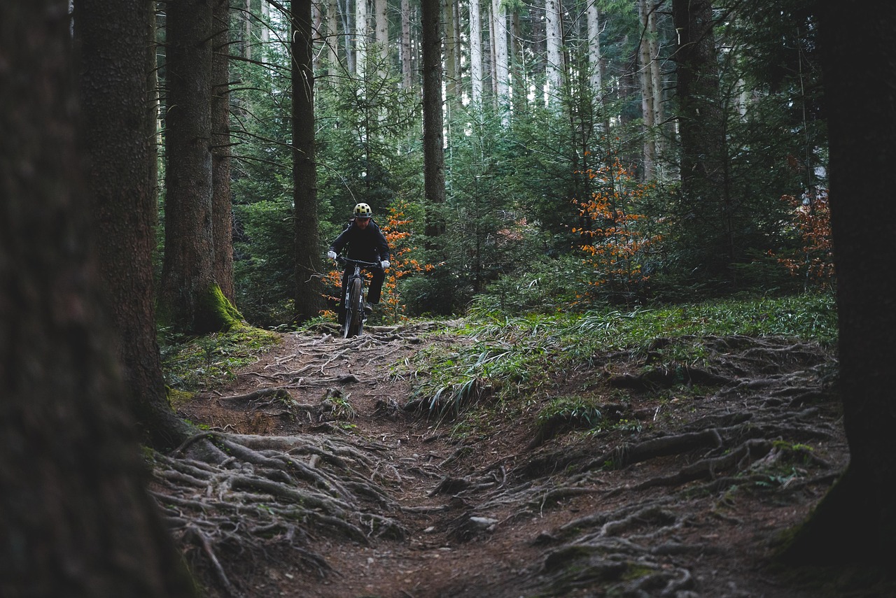 découvrez des aventures en plein air palpitantes qui vous rapprochent de la nature. que vous soyez amateur de randonnée, de camping ou d'activités aquatiques, vivez des expériences inoubliables et explorez des paysages à couper le souffle.