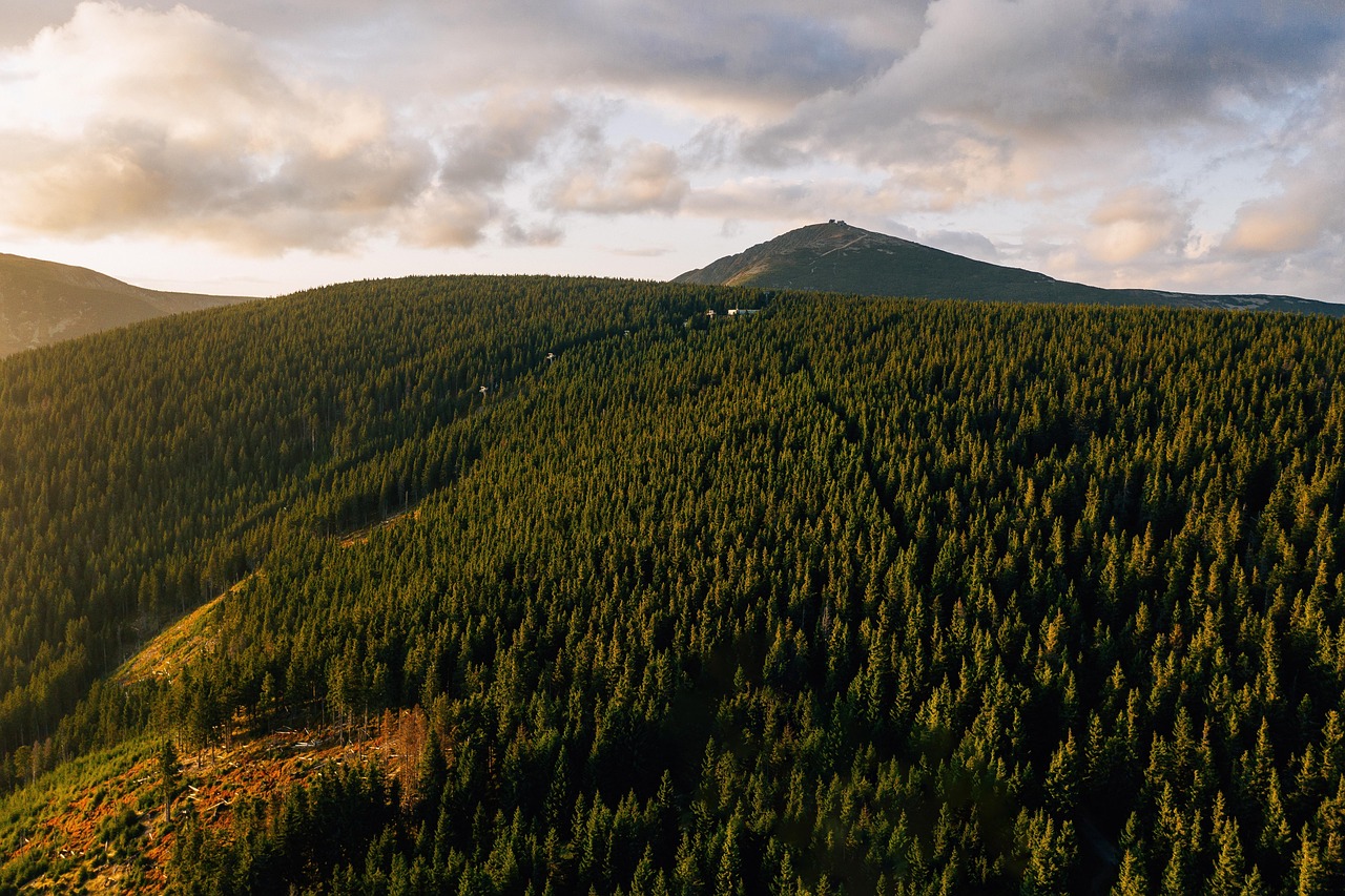 découvrez la pologne, un pays riche en histoire, en culture et en paysages à couper le souffle. explorez ses villes vibrantes comme varsovie et cracovie, ainsi que ses magnifiques paysages naturels, des montagnes aux lacs. plongez dans la gastronomie polonaise et les traditions locales pour une expérience inoubliable.