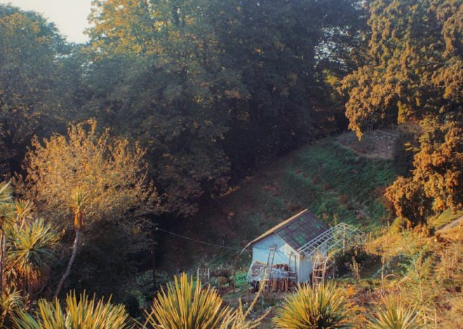 Retreats : comment choisir le meilleur pour votre bien-être