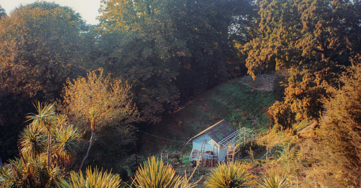 Retreats : comment choisir le meilleur pour votre bien-être
