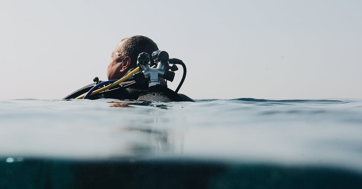 découvrez le monde fascinant de la plongée sous-marine. partez à l'aventure et explorez des récifs coralliens colorés, rencontrez une vie marine incroyable et vivez des expériences inoubliables sous l'eau. idéal pour les débutants et les plongeurs expérimentés!