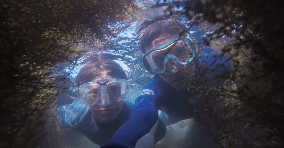 découvrez les merveilles sous-marines en scaphandre grâce à la plongée sous-marine. explorez des récifs coralliens colorés, nagez avec des poissons exotiques et vivez des aventures inoubliables sous les vagues. parfait pour les amateurs de sensations fortes et de nature.
