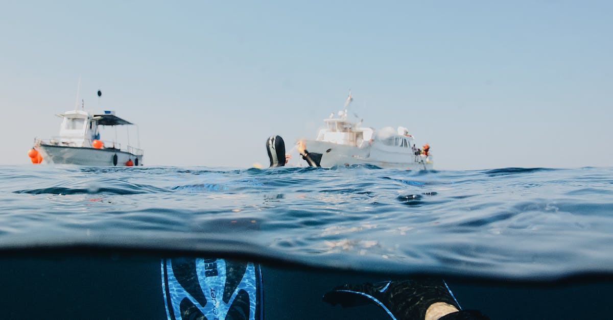 découvrez l'univers fascinant de la plongée sous-marine avec nos conseils, destinations et astuces pour une expérience inoubliable. plongez dans les plus beaux fonds marins et explorez la biodiversité océanique.