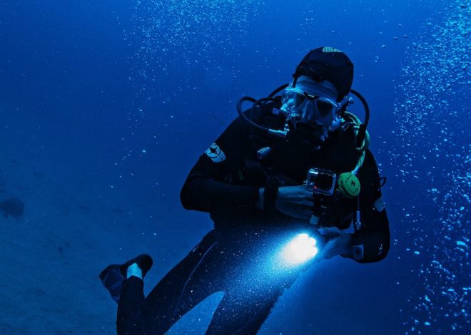 Plongée sous-marine : conseils essentiels pour débutants
