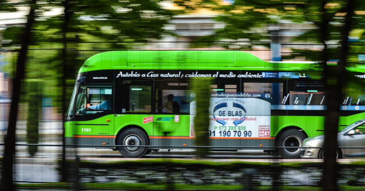 découvrez des conseils et astuces pour un voyage durable, alliant exploration et respect de l'environnement. apprenez à réduire votre empreinte carbone tout en profitant de la beauté du monde.