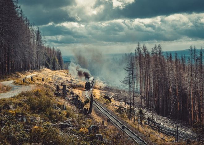 Voyages responsables : comment minimiser son impact environnemental en voyageant