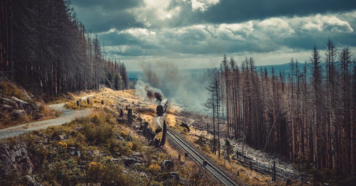 Voyages responsables : comment minimiser son impact environnemental en voyageant