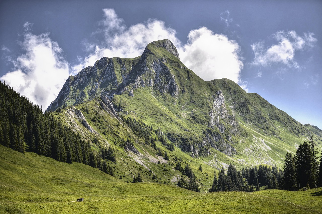 découvrez les meilleures destinations touristiques, conseils de voyage, activités incontournables et astuces pour organiser votre séjour partout dans le monde.