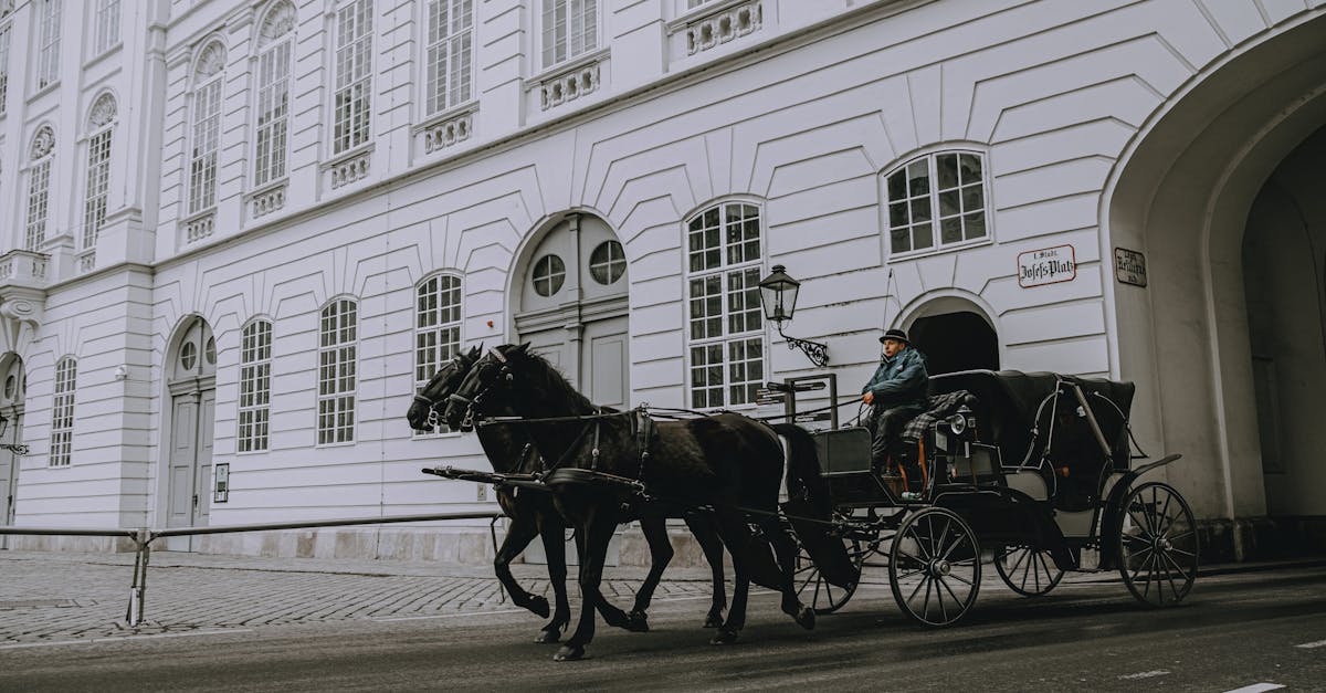 découvrez comment un travel coach peut transformer vos voyages en expériences uniques, en vous guidant dans la planification sur-mesure et l’organisation de séjours authentiques adaptés à vos envies et besoins.