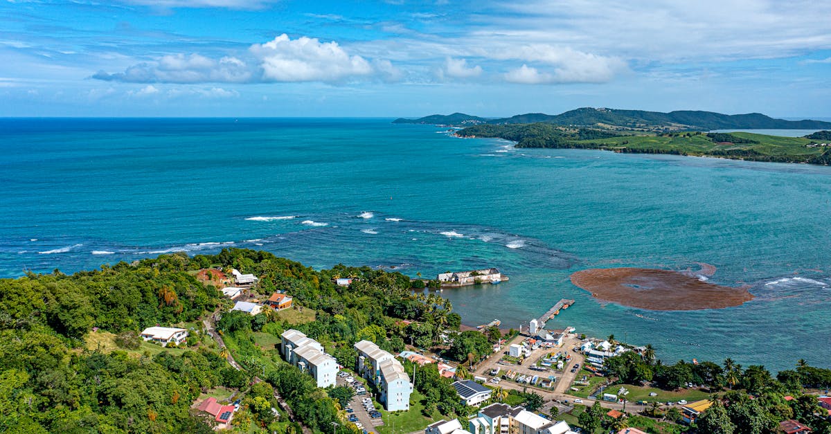 découvrez les caractéristiques uniques du climat tropical, où chaleur et humidité se rencontrent pour créer une biodiversité florissante. explorez les saisons, les précipitations et l'impact de ce climat sur l'environnement et les activités humaines.