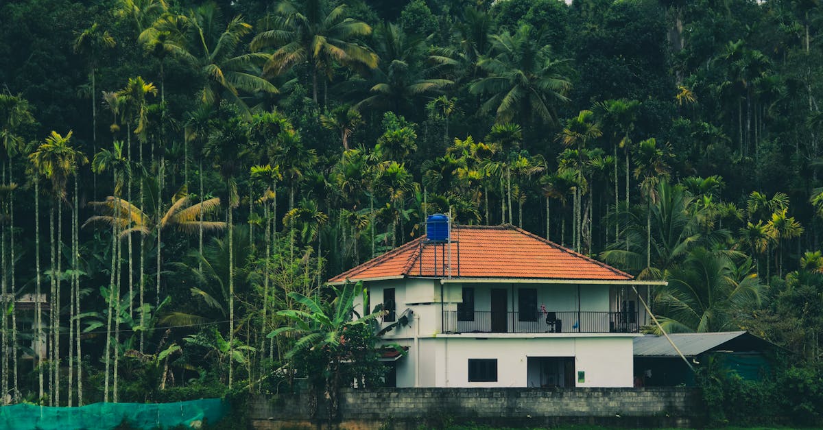 découvrez les merveilles du climat tropical, caractérisé par des températures chaudes toute l'année et de fortes précipitations. explorez comment ce climat unique façonne les écosystèmes, la biodiversité et les styles de vie des régions tropicales.