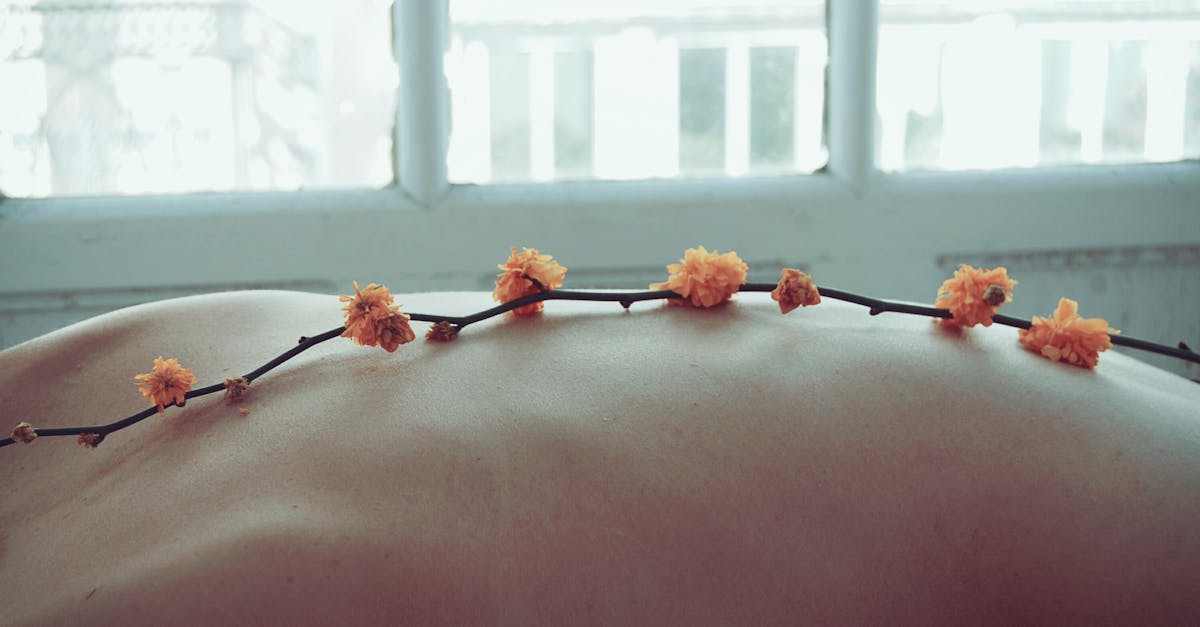 découvrez le wellness : conseils pratiques, nutrition, sommeil, sport et pleine conscience pour équilibrer corps et esprit et améliorer votre qualité de vie.