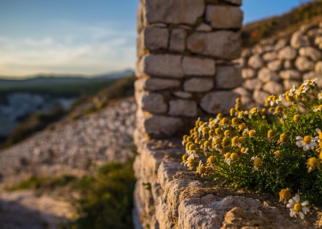 Découvrez la Corse : Le site de référence pour un tourisme inoubliable sur l’île de Beauté