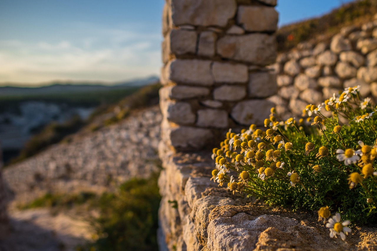 Découvrez la Corse : Le site de référence pour un tourisme inoubliable sur l’île de Beauté