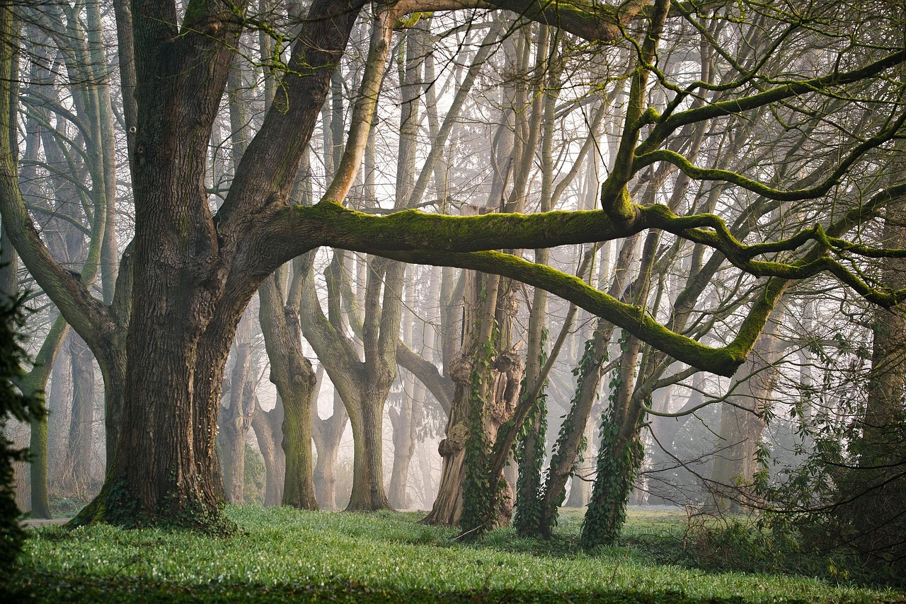 Aventure enchanteresse à Hua Tat : Exploration de la nature, des richesses culturelles et des traditions locales