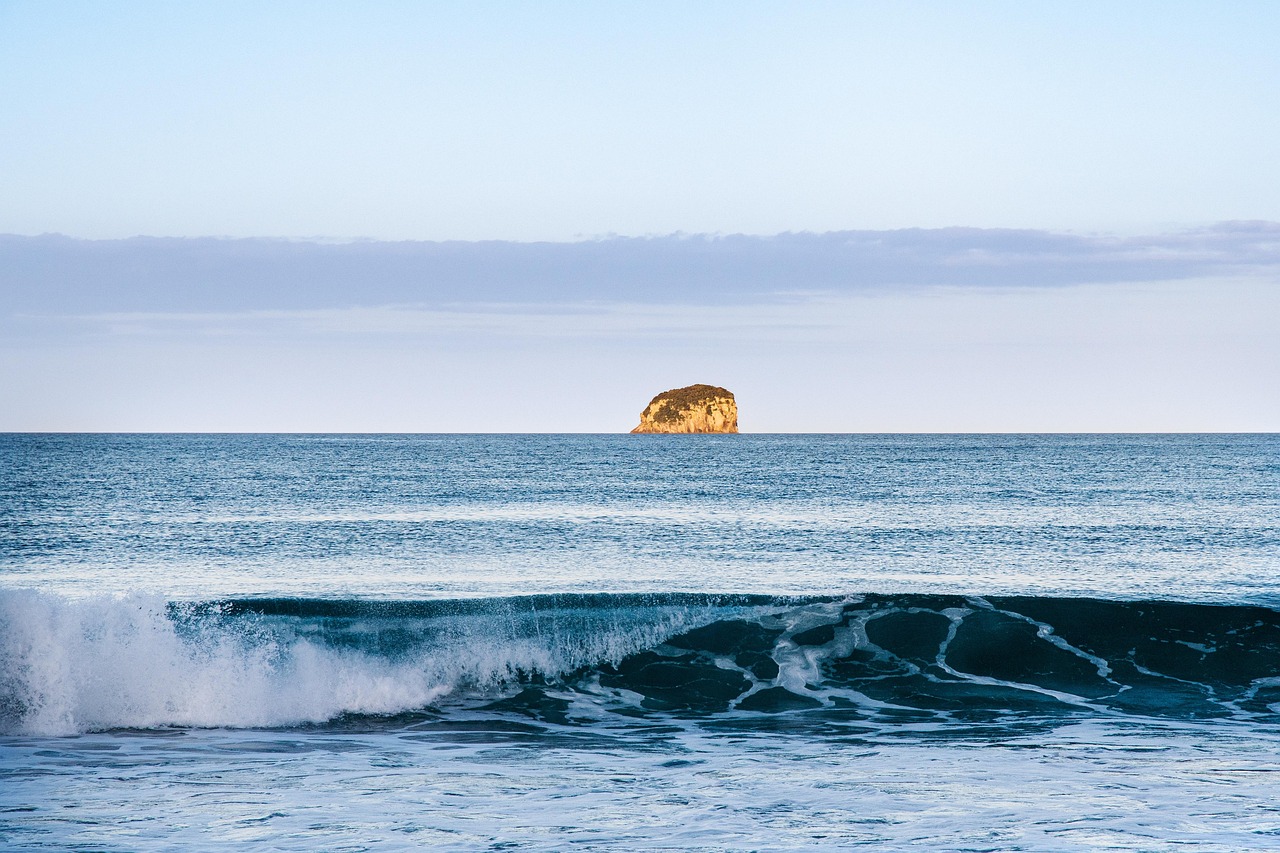 découvrez l'île de ré, destination incontournable sur la côte atlantique française : plages de sable fin, villages authentiques, pistes cyclables et gastronomie locale vous attendent pour des vacances inoubliables.