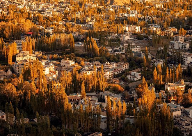 Le Mois de la Culture Urbaine : Un Élan pour le Tourisme à Lam Dong