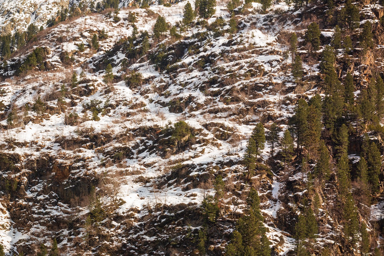 découvrez l'hiver sous toutes ses facettes : paysages enneigés, activités hivernales, conseils pour se réchauffer et vivre pleinement cette saison magique.