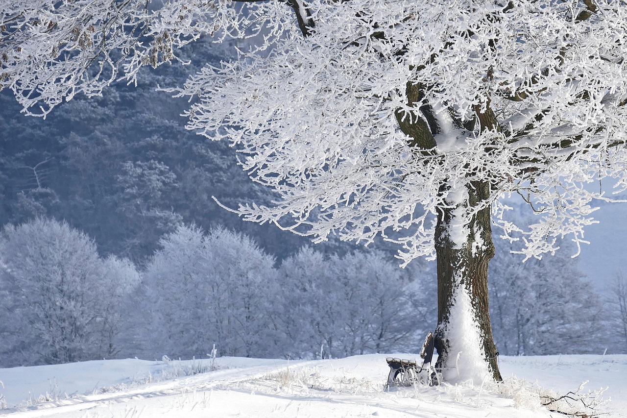 Explorer l’Hiver au Japon : Votre Guide Complet pour Découvrir les Merveilles de la Saison