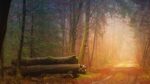 découvrez la magie des couleurs d'automne : nuances dorées, rouges flamboyants et paysages vibrants. explorez des idées pour profiter pleinement de cette saison exceptionnelle.