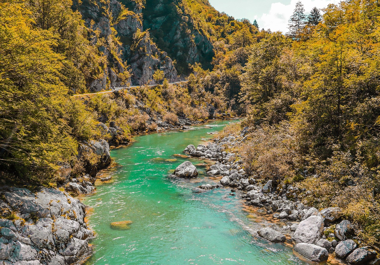 découvrez les meilleures destinations à visiter en automne : paysages colorés, festivals saisonniers et expériences uniques vous attendent pour un voyage inoubliable cet automne.