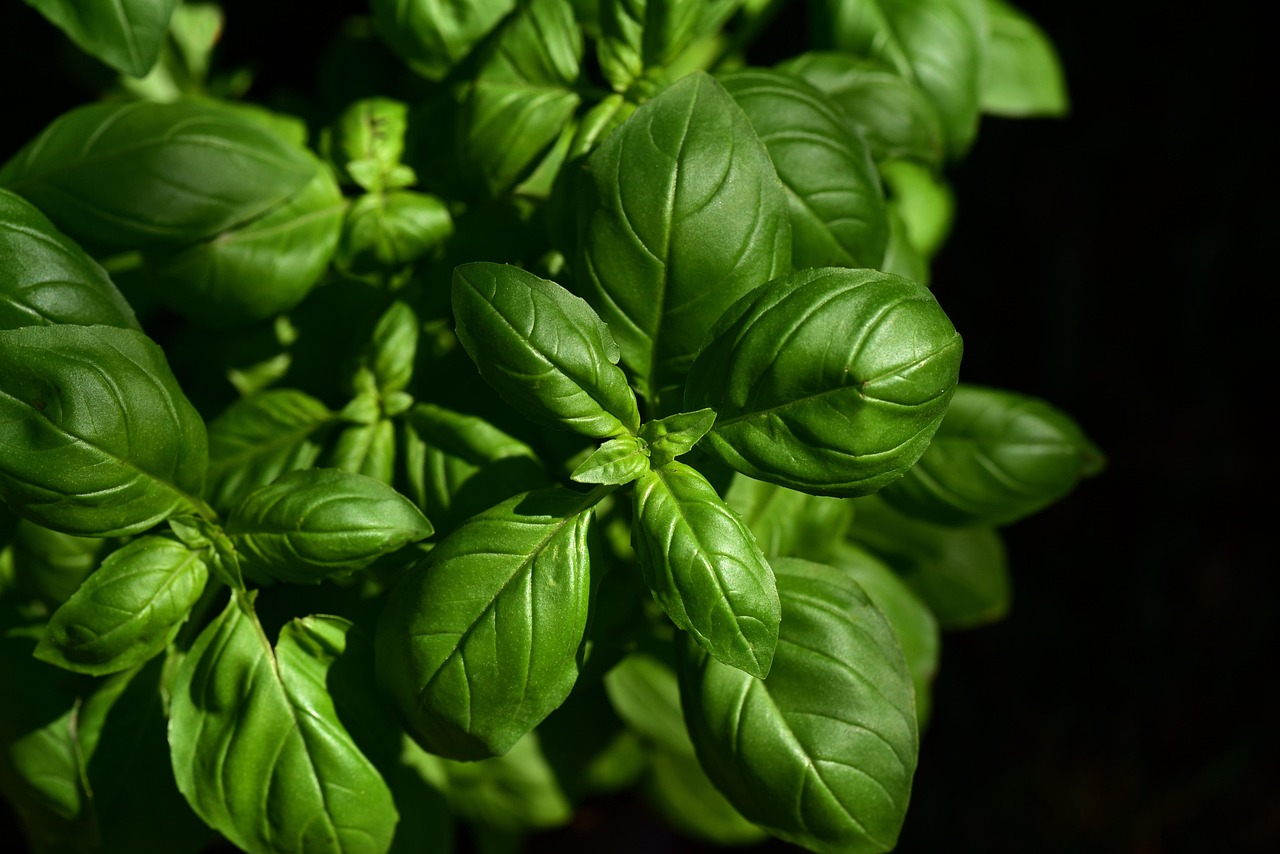 découvrez le monde à travers la gastronomie avec le voyage culinaire : explorez des destinations uniques, dégustez des spécialités locales et vivez des expériences gustatives inoubliables pour les passionnés de cuisine et d'aventure.