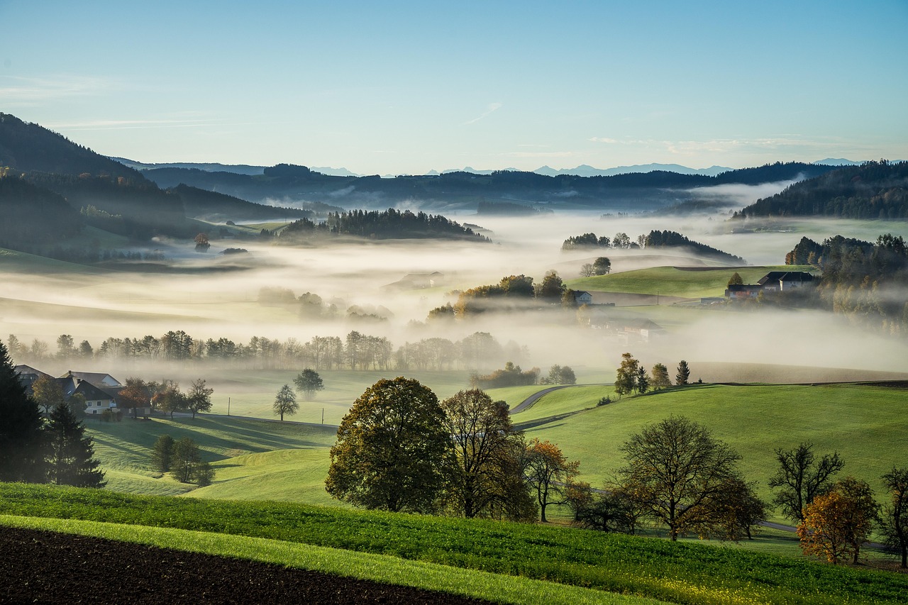 découvrez comment la revitalisation culturelle préserve et valorise les traditions, langues et patrimoines des communautés, favorisant l'identité et la diversité culturelle à travers le monde.